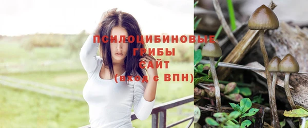 MDMA Premium VHQ Володарск