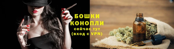 шишки Волоколамск