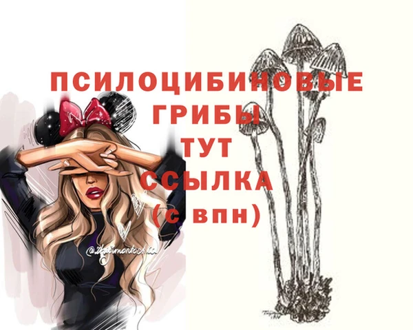 шишки Волоколамск