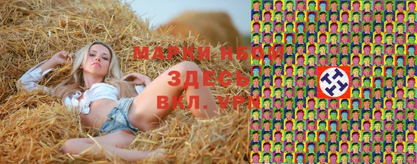 шишки Волоколамск