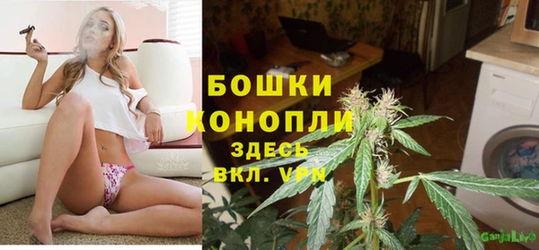 шишки Волоколамск